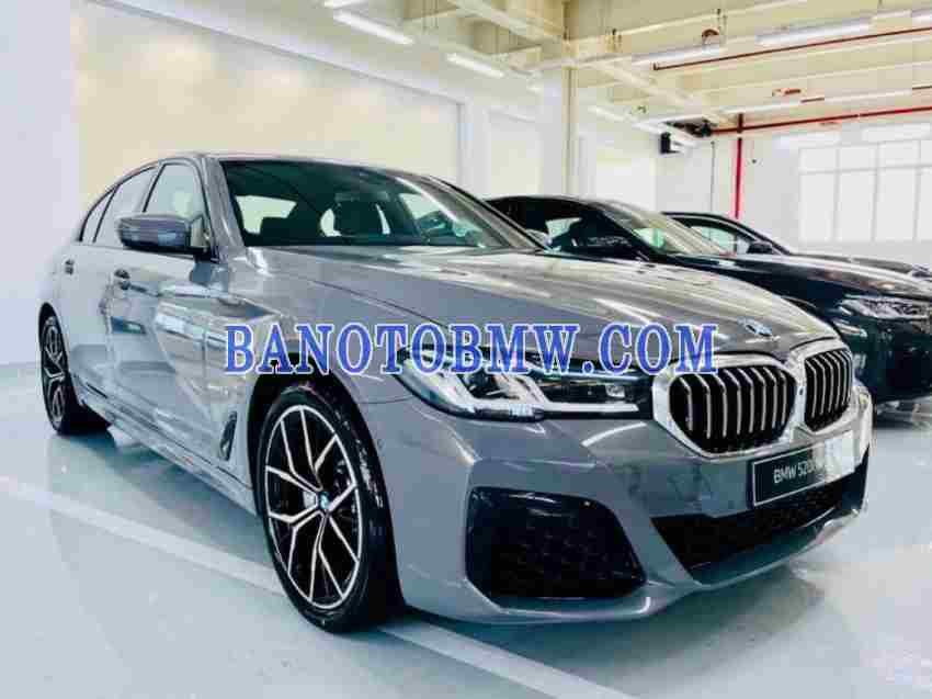 BMW 5 Series 520i M Sport Xám sx 2024