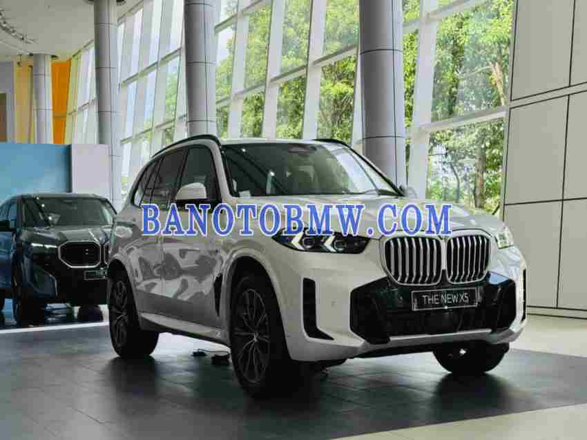 BMW X5 xDrive40i M Sport 2024 xe đẹp từng centimet