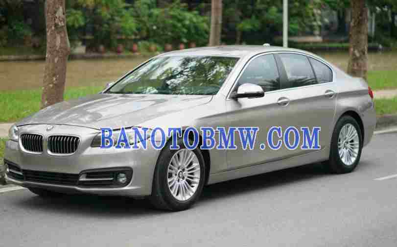 BMW 5 Series 520i model 2013 xe chuẩn hết ý