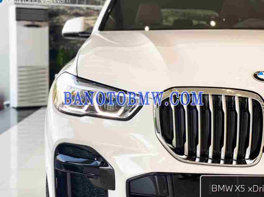 Bán BMW X5 xDrive40i M Sport năm 2023 đẹp xuất sắc