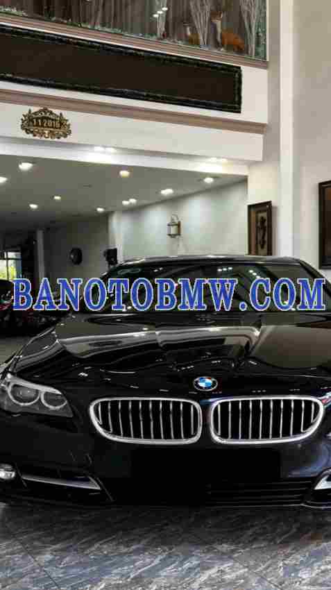 Cần bán BMW 5 Series 520i đời 2014