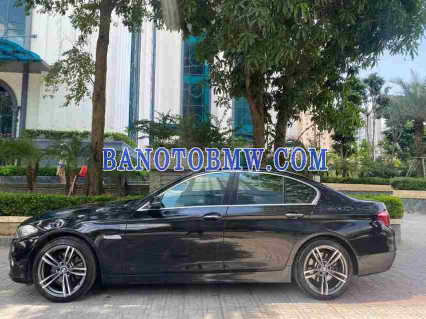 BMW 5 Series 520i 2016 giá cực tốt