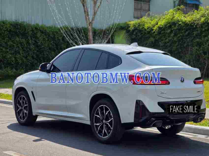 Cần bán xe BMW X4 Số tự động 2024