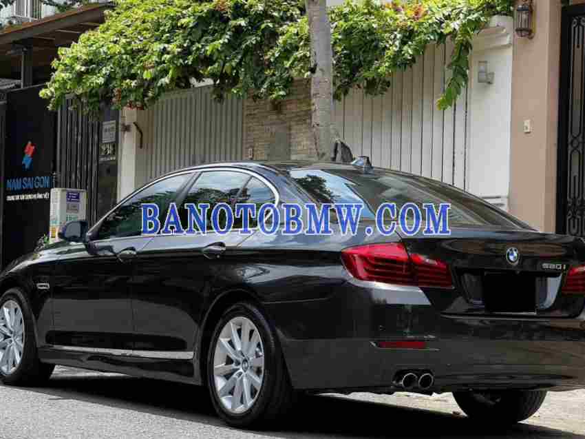 Cần bán gấp BMW 5 Series 520i đời 2016, màu Nâu
