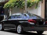 Cần bán gấp BMW 5 Series 520i đời 2016, màu Nâu