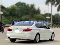 Cần bán BMW 5 Series 520i 2015 - Số tự động
