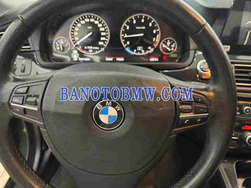 Bán BMW 5 Series 520i, màu Đen, Máy xăng, 2014