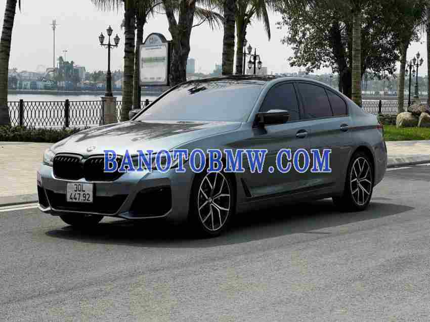 Cần bán gấp BMW 5 Series 530i đời 2019, màu Xám