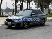 Cần bán gấp BMW 5 Series 530i đời 2019, màu Xám