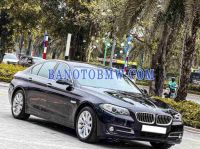 Cần bán xe BMW 5 Series 520i 2016 Số tự động màu Đen