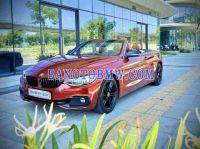 Cần bán gấp BMW 4 Series 420i Convertible đời 2019, màu Cam