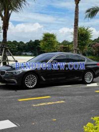 Cần bán BMW 5 Series 530i Luxury Line 2019 - Số tự động
